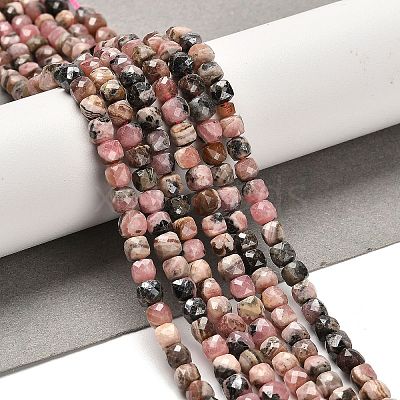 Natural Argentina Rhodonite Beads Strands LS-G-B107-B01-01-1