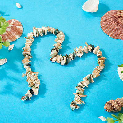 1 Strand Natural Seashell Shell Beads Strands SSHEL-TA0001-12-1
