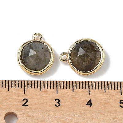 Natural Labradorite Faceted Flat Round Charms G-U028-03G-06-1