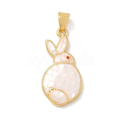 Brass Enamel Pendants LS-KK-H534-06G-01-1