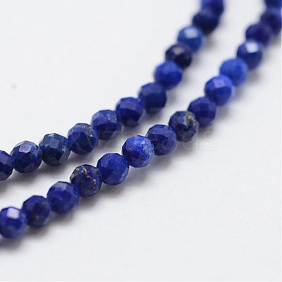 Natural Lapis Lazuli Bead Strands G-G663-48-2mm-1