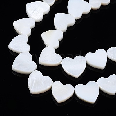 Natural Freshwater Shell Beads Strands X-SHEL-N027-21-1