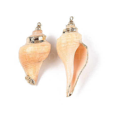 Natural Conch Shell Big Pendants SSHEL-N038-24A-1