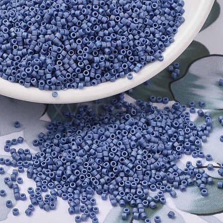 MIYUKI Delica Beads SEED-X0054-DB2318-1