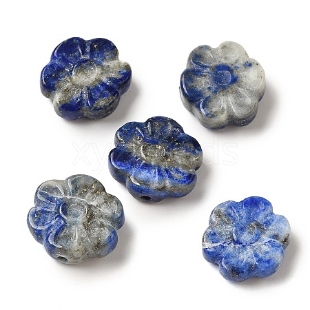 Natural Lapis Lazuli Carved Beads G-P550-13-1