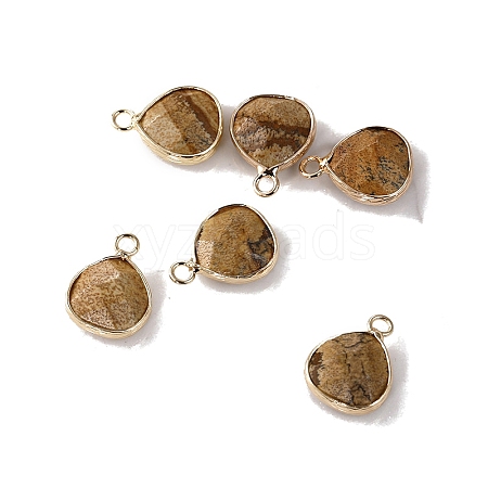 Natural Map Stone Faceted Pendants PW-WG413D9-03-1