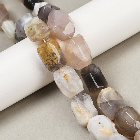 Natural Botswana Agate Beads Strands G-F796-C03-01-1