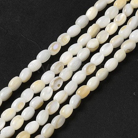 Natural Freshwater Shell Beads Strand BSHE-E026-16A-1