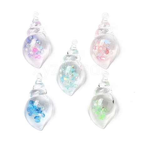 Transparent Acrylic Pendants OACR-M005-02-1