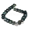 Natural Moss Agate Beads Strands G-C285-A13-01-4