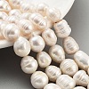 Natural Cultured Freshwater Pearl Beads Strands PEAR-P062-23-2