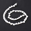 Natural Freshwater Shell Beads Strands SHEL-H002-02E-4