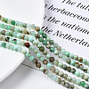 Natural Chrysoprase Beads Strands X-G-S333-4mm-016-4