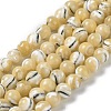 Natural Trochus Shell Beads Strands BSHE-P033-03A-1