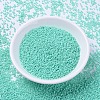 MIYUKI Delica Beads SEED-X0054-DB2122-2