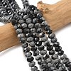 Natural Snowflake Obsidian Bead Strands G-D344-A13-1