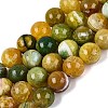 Natural Dragon Veins Agate Beads Strands G-Q606-42B-D02-2
