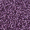 MIYUKI Delica Beads X-SEED-J020-DB2182-3