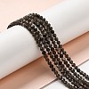 Natural Silver Sheen Obsidian Beads Strands G-E608-A02-B-4