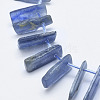 Natural Kyanite/Cyanite/Disthene Beads Strands G-K246-45-3