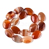 Natural Agate Dyed Beads Strands G-T138-200-2