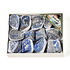 Natural Lapis Lazuli Geode Cornucopia Mineral Specimen G-N347-13B-1