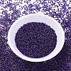 MIYUKI Delica Beads X-SEED-J020-DB0609-2