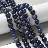 Natural South Africa Sodalite Beads Strands G-S259-35-10mm-7