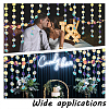 Irridescent PVC Glitter Circle Dots Garland LS-HJEW-WH0036-37-4