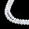 Natural Freshwater Shell Beads Strands BSHE-H109-03A-4