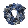 Natural Kyanite Beads Strands G-Q060-E17-3