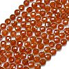 Natural Carnelian Beads Strands G-K389-B19-01-1