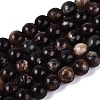 Natural Biotite Beads Strands G-Q616-01A-2