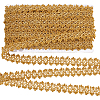 Filigree Polyester Lace Trim OCOR-WH0074-96A-1