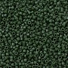 MIYUKI Delica Beads SEED-X0054-DB0797-3
