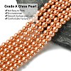 Eco-Friendly Dyed Glass Pearl Bead Strands LS-HY-A008-6mm-RB113-3