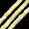 Natural Trochid Shell/Trochus Shell Bead Strands SSHEL-N034-77-C06-1