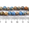 Dyed Natural Regalite/Imperial Jasper/Sea Sediment Jasper Beads Strands X-G-B124-C02-15-3