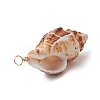 Natural Spiral Shell Pendants PALLOY-JF02950-5