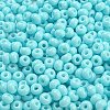 Imitation Jade Glass Seed Beads SEED-Z001-A-B06-3