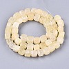 Natural Dolomite Beads Strands G-T131-56H-2