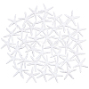 Resin Cabochons RESI-PH0001-34-WH-1
