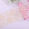 Polyester Lace Trim Ribbons PW-WG34220-06-1-1