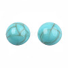 Acrylic Cabochons SACR-N016-01B-01-3