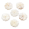 Natural Freshwater Shell Beads SHEL-Z002-02-1