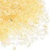 Glass Chip Beads GL-CBAB547-02-2