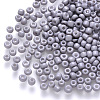 6/0 Baking Paint Glass Round Seed Beads SEED-S036-01C-09-1