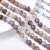 Natural Purple Red Tourmaline  Beads Strands G-N327-02B-01-2