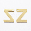 304 Stainless Steel Charms STAS-P141-Z-2