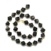 Natural Silver Obsidian Beads Strands G-I376-C13-01-2